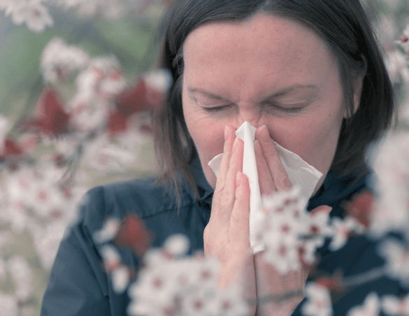 Alergias Estacionales Polen